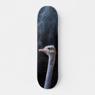 Straußenportrait Skateboard