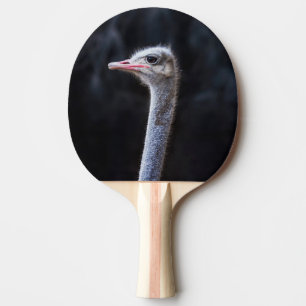 Straußenportrait Tischtennis Schläger