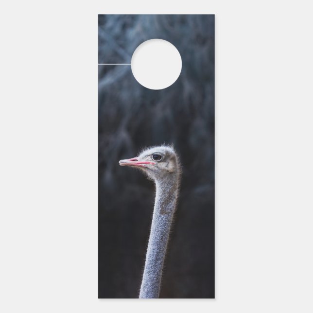 Straußenportrait Türanhänger (Vorderseite)