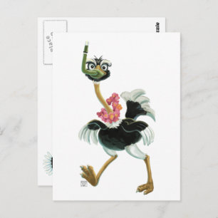 Straußenrennen im Sumpf Postkarte