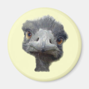 Straußkopf Magnet