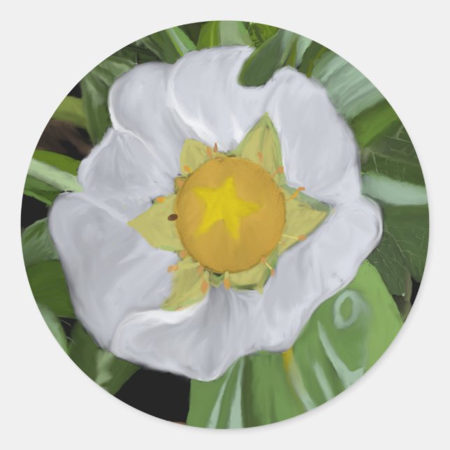 Strawberry Blossom Round Sticker (Vorderseite)