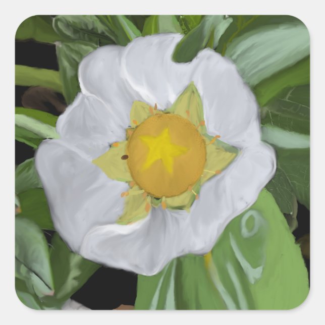 Strawberry Blossom Square Sticker (Vorderseite)