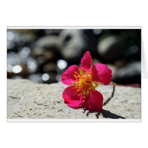 Strawberry Blume Postkarte