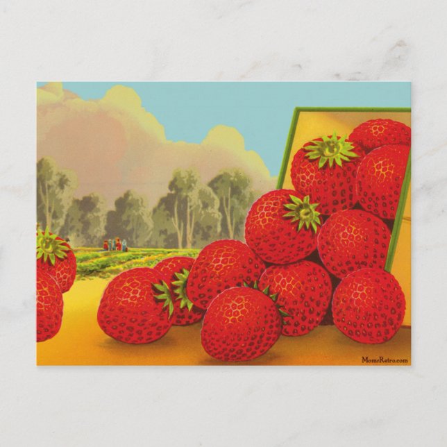 Strawberry Crate Label Vintag Art Blank Postkarte (Vorderseite)