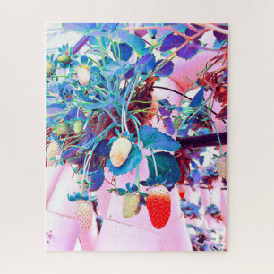 Strawberry farm Port Macquarie Australien Puzzle