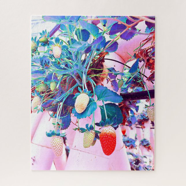 Strawberry farm Port Macquarie Australien Puzzle (Vertikal)