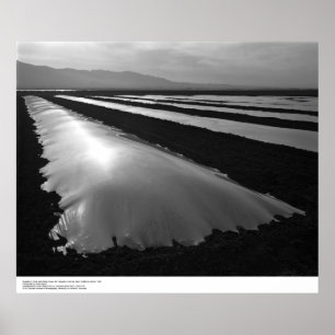 Strawberry Fields mit Poster