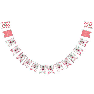 Strawberry Girl Erste Geburtstagsfeiertage Fotos Wimpelkette