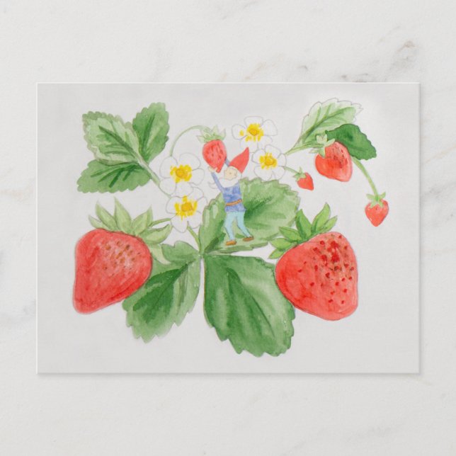 Strawberry Gnome Postcard Postkarte (Vorderseite)