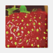 Strawberry Macrography