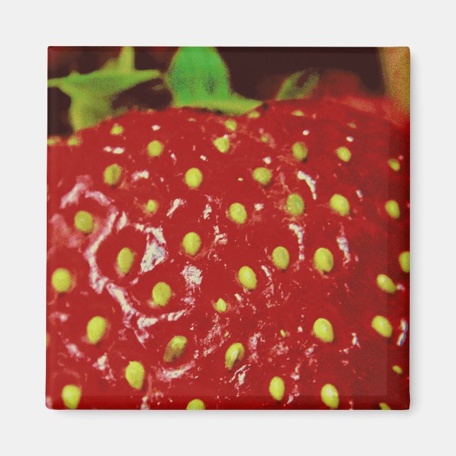 Strawberry Macrography Magnet (Vorne)