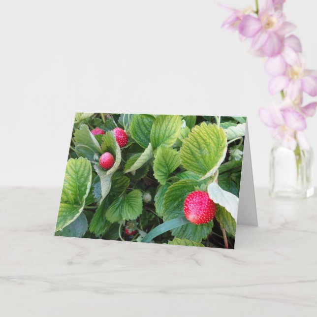 Strawberry Patch Card Karte (Orchidee)