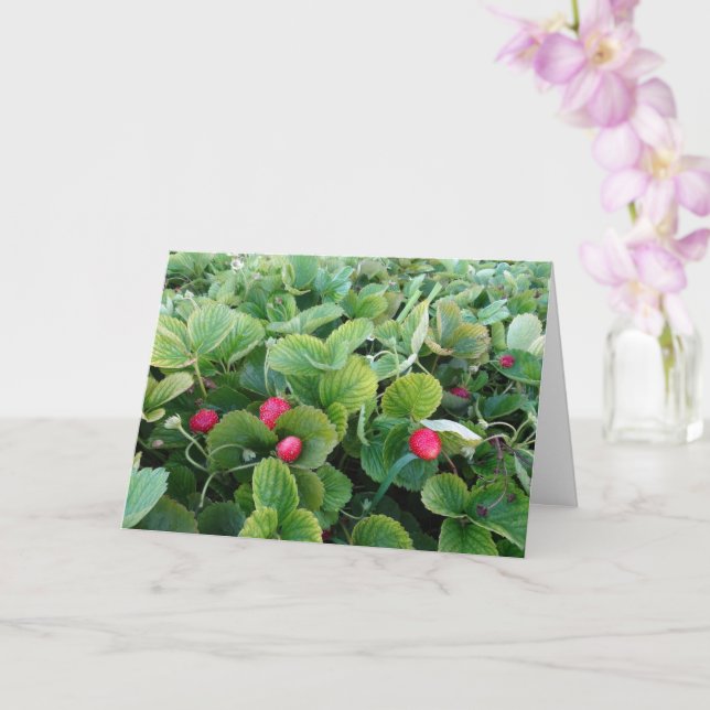Strawberry Patch Card Karte (Orchidee)