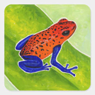 Strawberry Poison Dart Frog Quadratischer Aufkleber