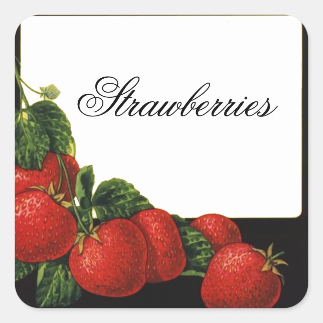 STRAWBERRY Preserve, Jam, Canning Quadratischer Aufkleber (Vorderseite)