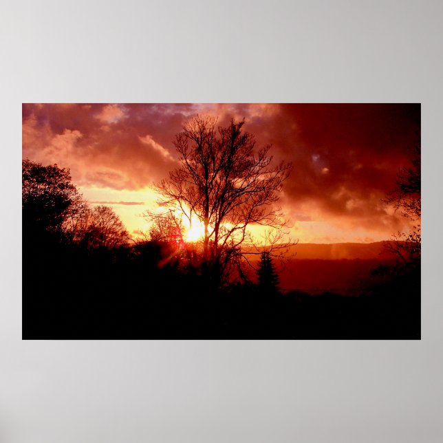 Strawberry Sunrise Poster (Vorne)