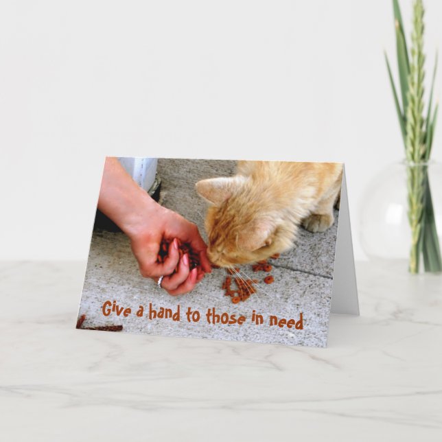 Stray Cat Hawaii Shelter Pets Feiertagskarte (Vorderseite)