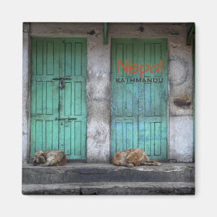Stray dogs in Kathmandu, Nepal-Textmagnet Magnet