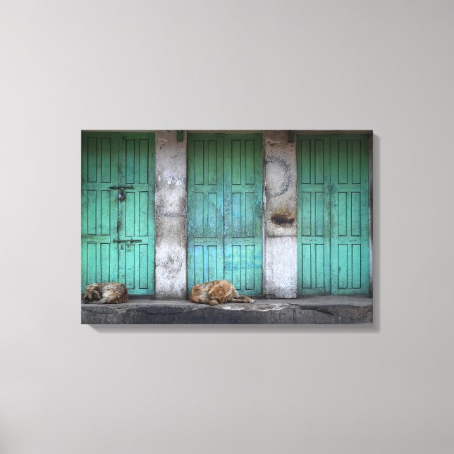 Stray dogs vor schmutziger grüner Leinwand (Vorderseite)