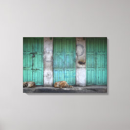 Stray dogs vor schmutziger grüner Leinwand