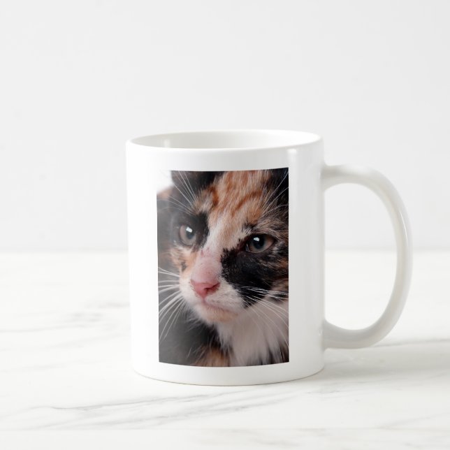 Stray Kitten Tasse (Rechts)