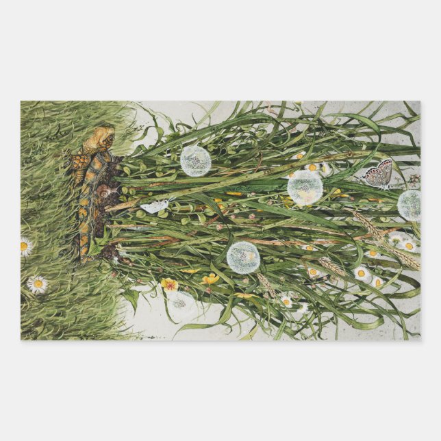 Stray Sod Rechteckiger Aufkleber (Vorderseite)