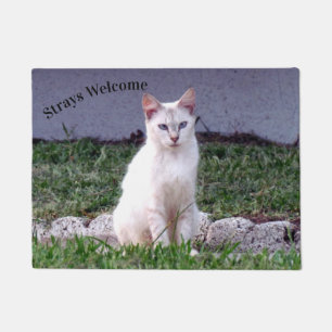 Strays Welcome - Siamese Stray Cat Doormat Fußmatte