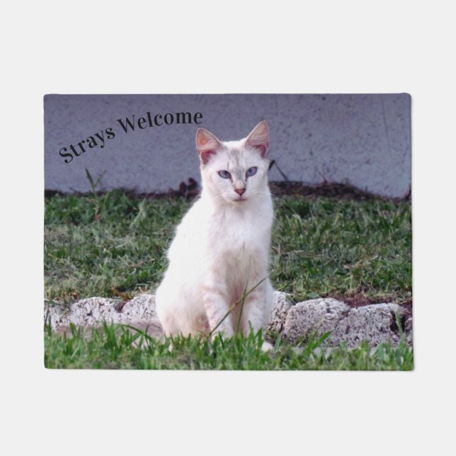 Strays Welcome - Siamese Stray Cat Doormat Fußmatte (Vorderseite)