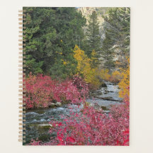 Stream Blooms Planer