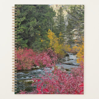 Stream Blooms Planer