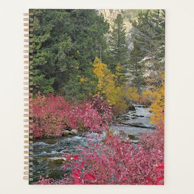 Stream Blooms Planer (Vorderseite)