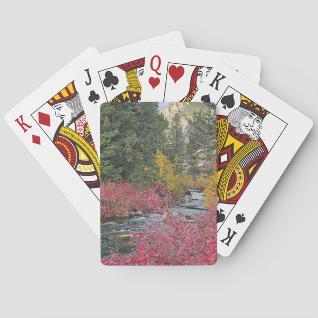 Stream Blooms Playing Cards Spielkarten (Rückseite)
