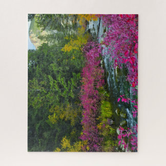 Stream Blooms Puzzle