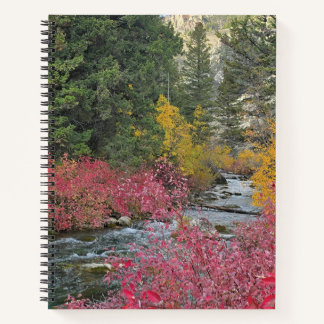 Stream Blooms Spiral Notebook Notizbuch