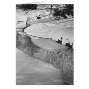 Stream im Winter B&W