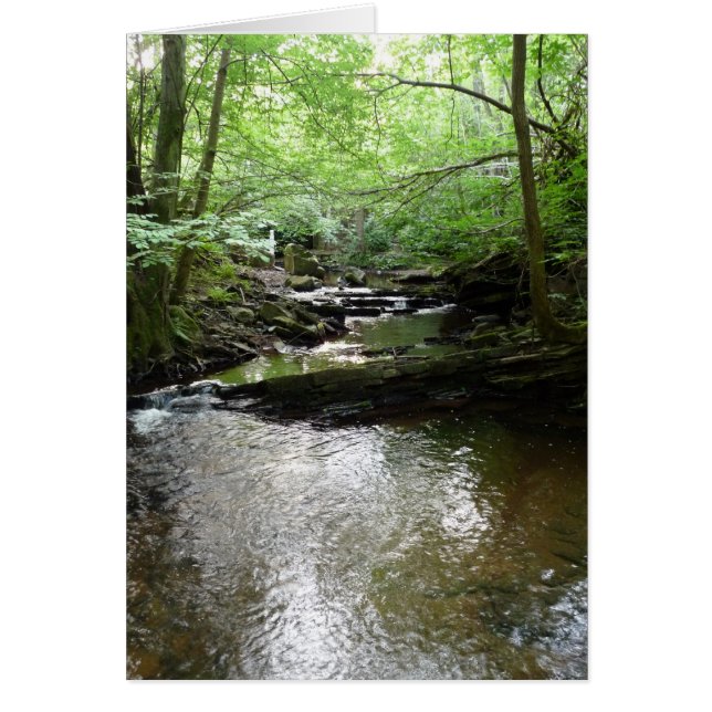 "Stream in Northumberland Woods" (2) (Vorne)