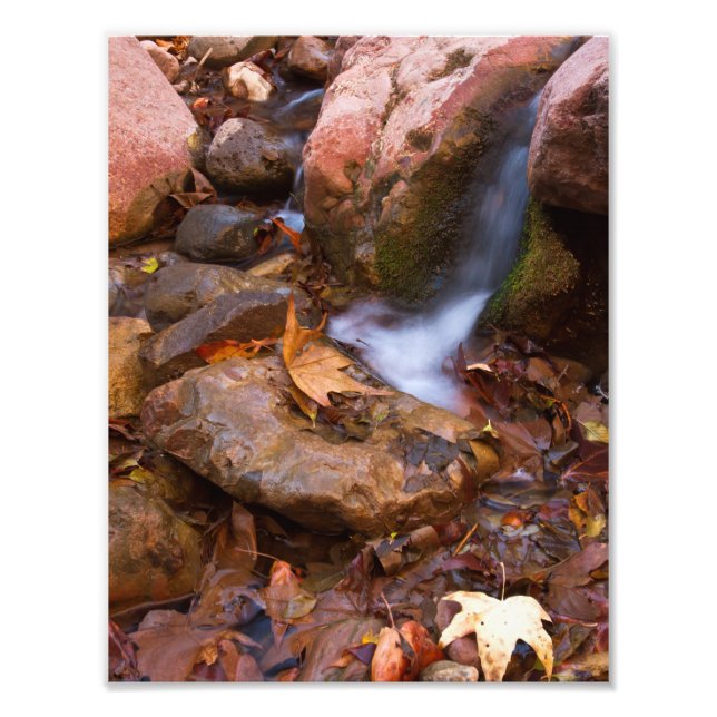 Stream in Payson, Arizona Fotodruck (Vorne)
