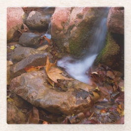Stream in Payson, Arizona Glasuntersetzer
