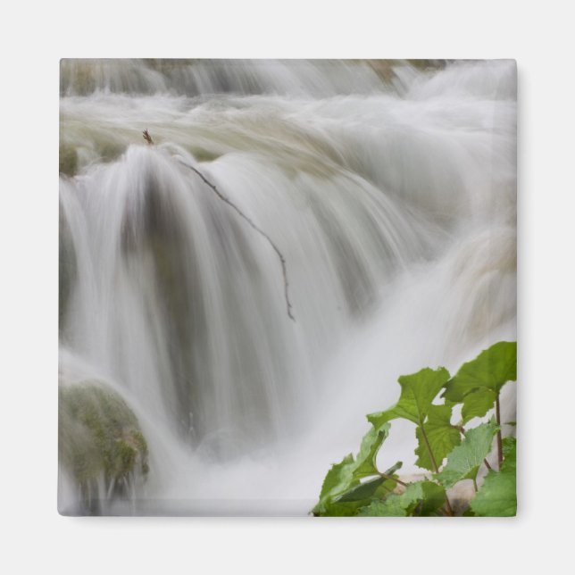 Stream Magnet (Vorne)