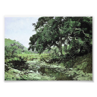 Stream von William Keith (modifiziert) Fotodruck