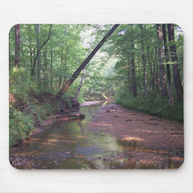 Streambed Mousepad (Vorne)