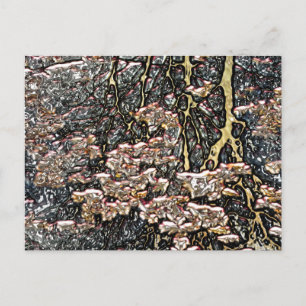 STREAMWASSERSPIEGELUNGEN POSTKARTE