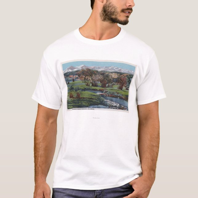 Strecke Trinidads, Colorado - Snowy-u. Tal-Ansicht T-Shirt (Vorderseite)