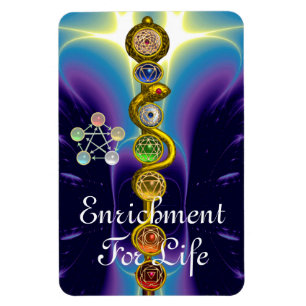 STRECKE VON ASCLEPIUS 7 CHAKRAS,YOGA,SPIRITUELLE E MAGNET