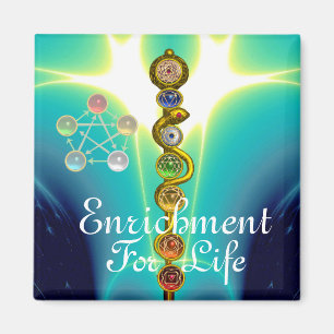 STRECKE VON ASCLEPIUS 7 CHAKRAS,YOGA,SPIRITUELLE E MAGNET
