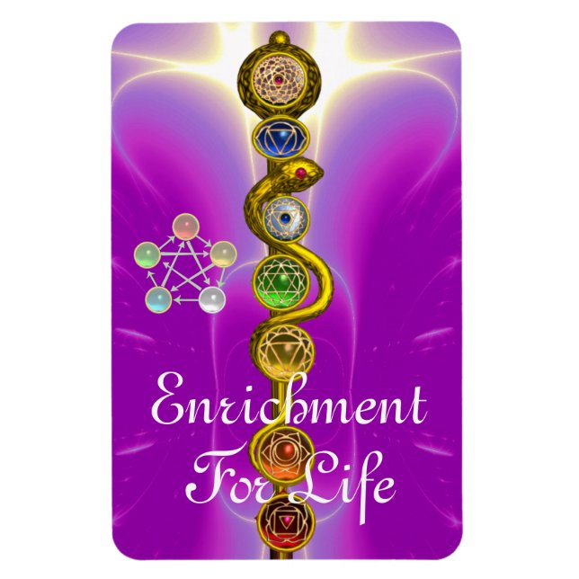 STRECKE VON ASCLEPIUS 7 CHAKRAS,YOGA,SPIRITUELLE E MAGNET (Vertikal)