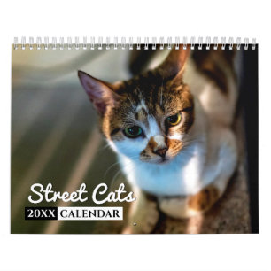 Street Cats 2022 Foto Wall Calendar Kalender