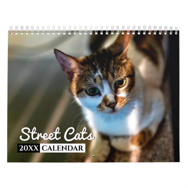 Street Cats Foto Wall Calendar Kalender (Titelbild)