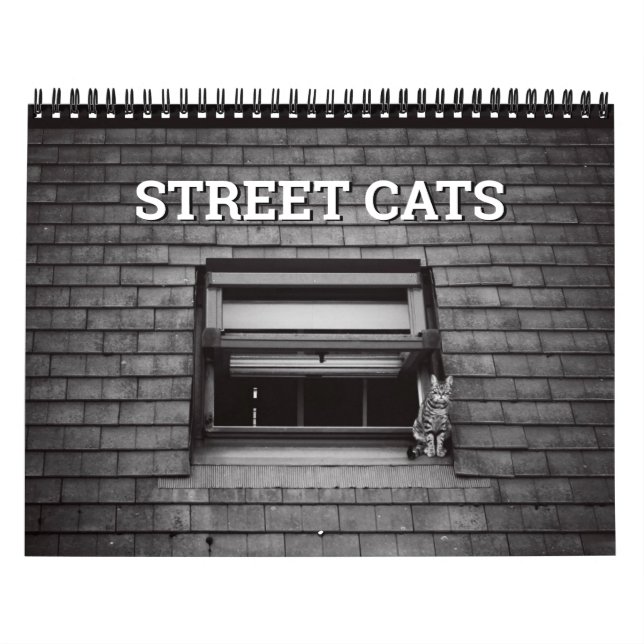 Street Cats Fotografie Kalender (Titelbild)